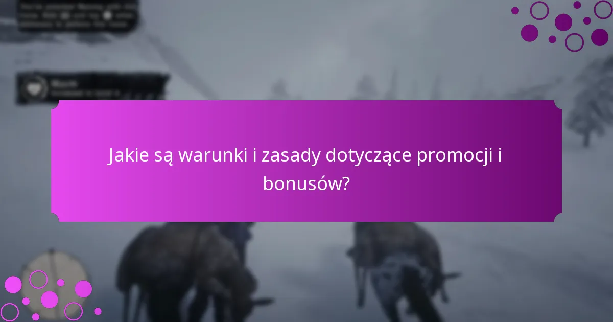 Jakie są warunki i zasady dotyczące promocji i bonusów?